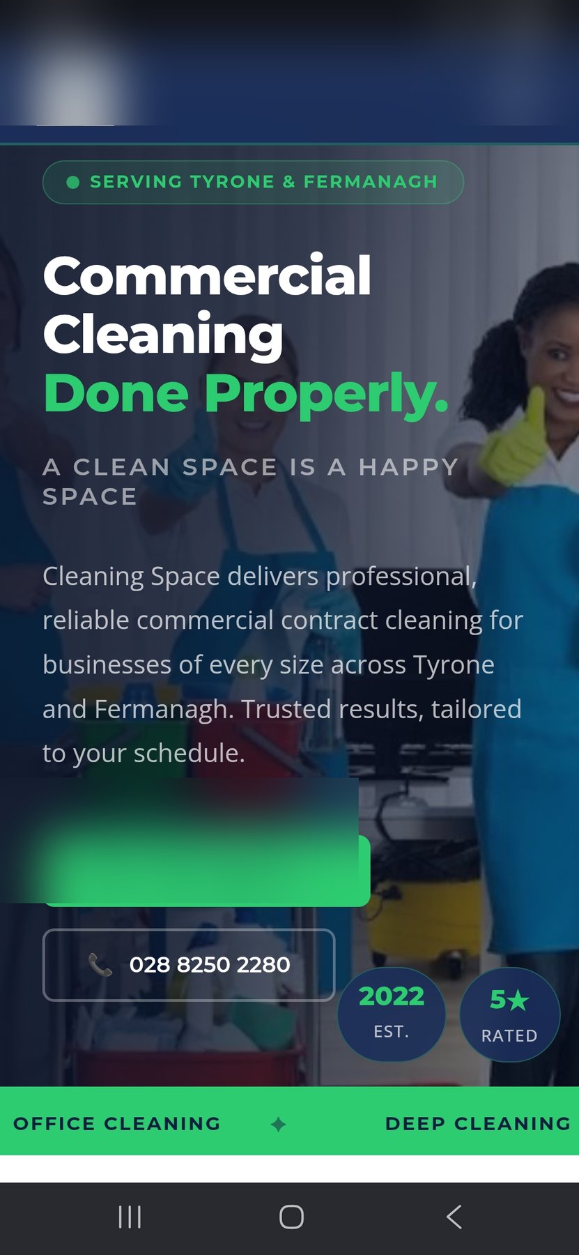 Cleaning company website design concept