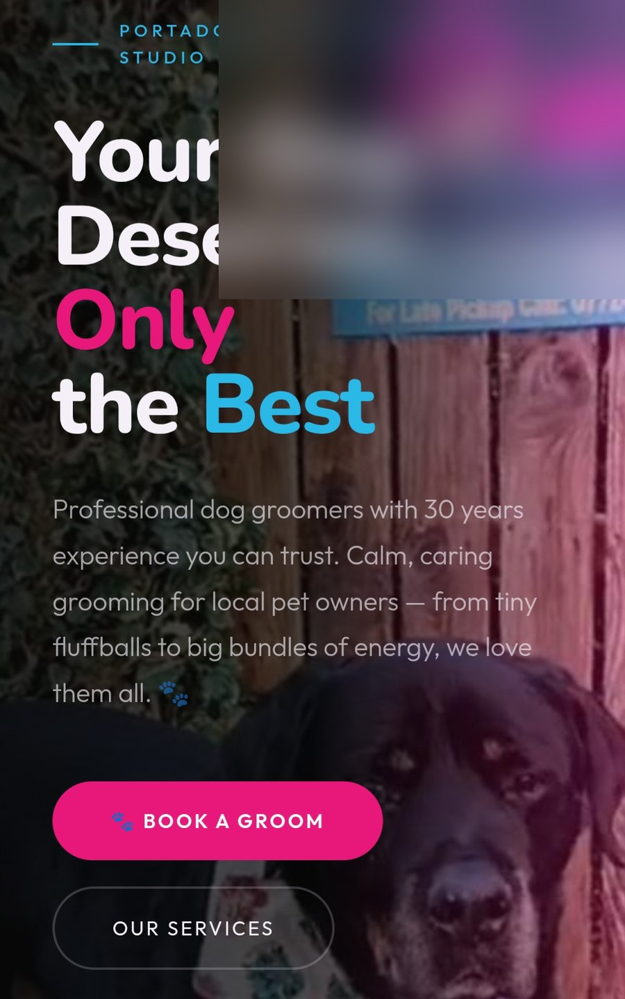 Dog grooming website design concept